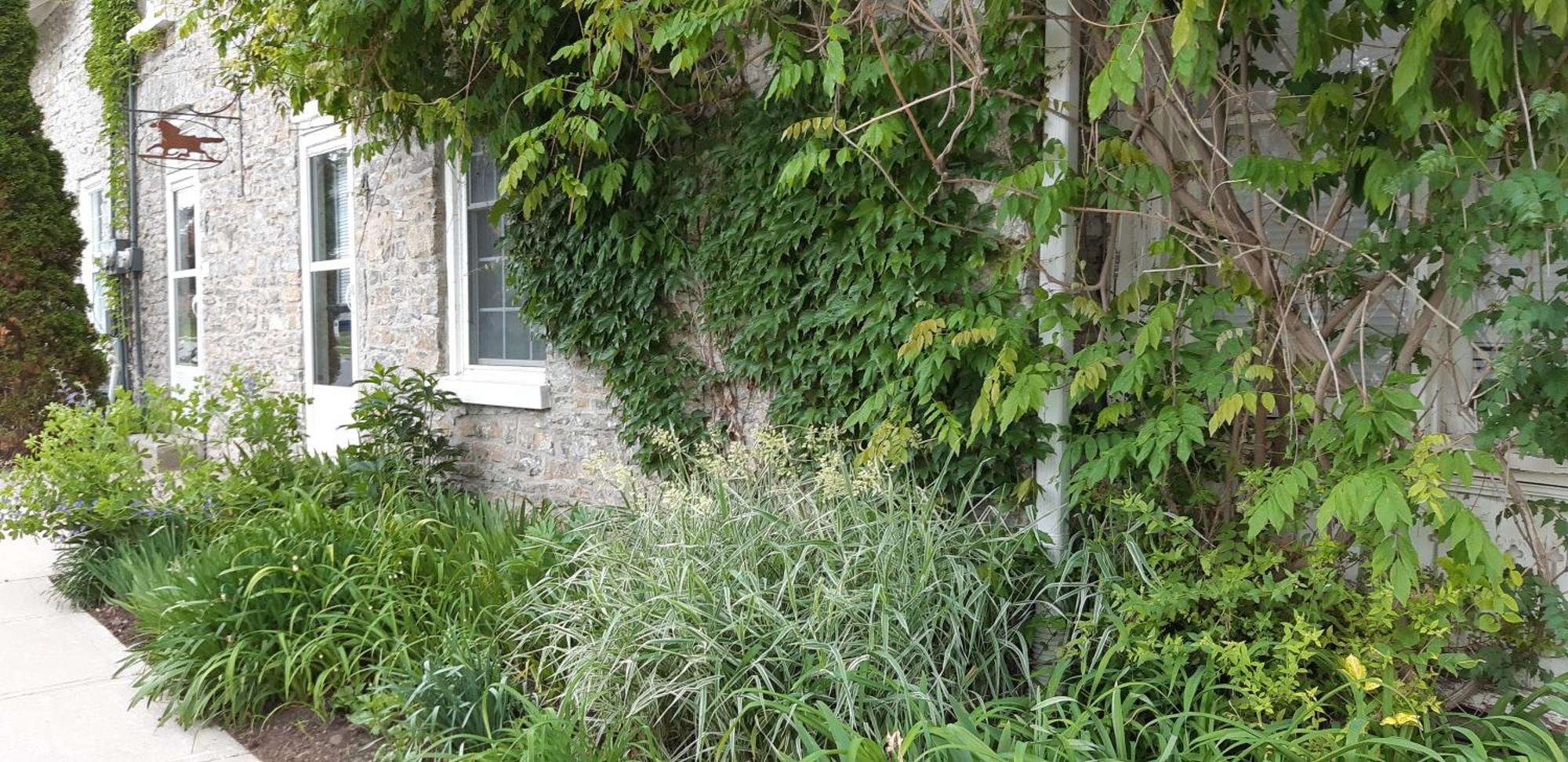 Willa Stone Carriage House Picton Zewnętrze zdjęcie